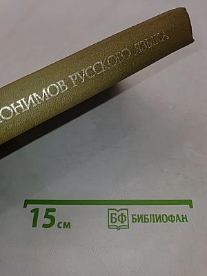 Словарь омонимов русского языка