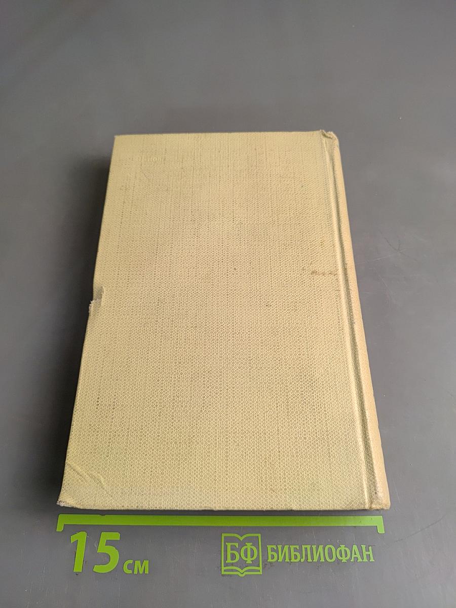 Собрание сочинений. Том второй. Стихотворения и поэмы 1861-1877
