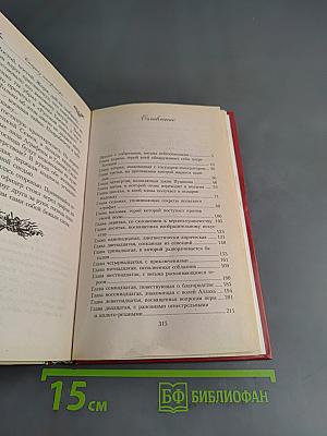 За каждым камнем. Офицеры по особым поручениям