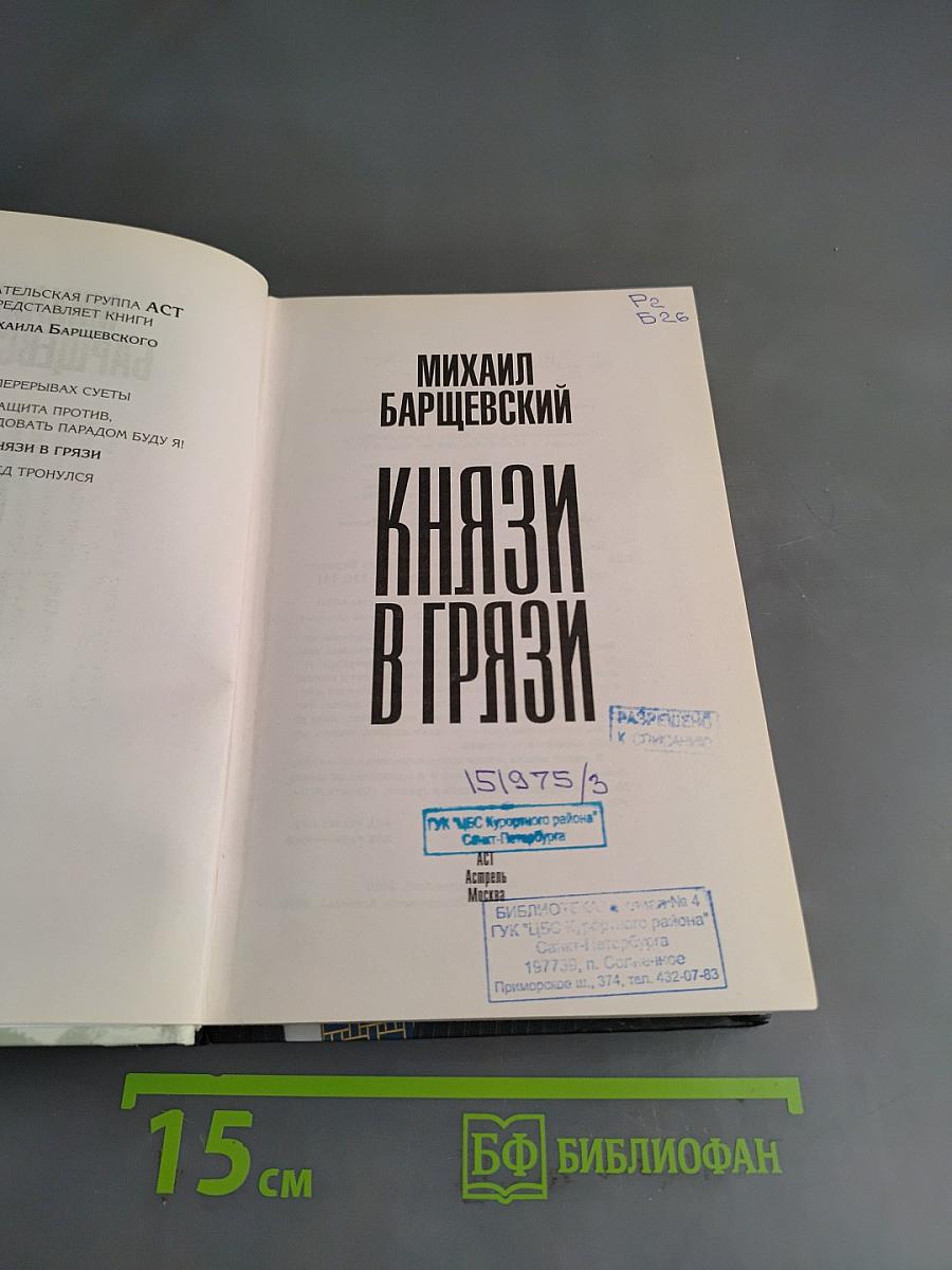 Князи в грязи