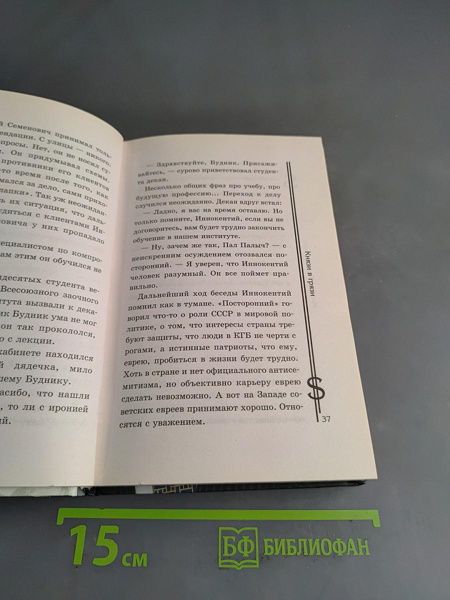 Князи в грязи