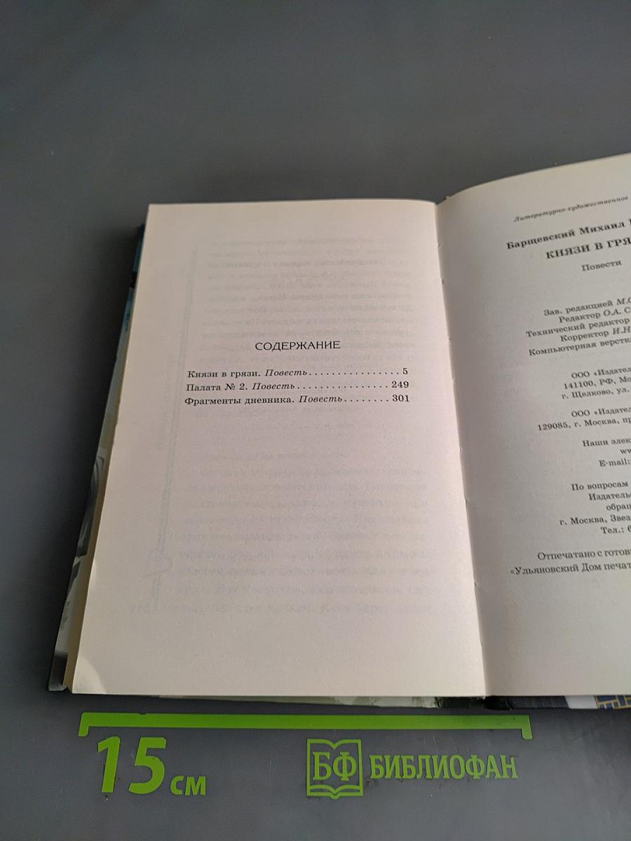 Князи в грязи