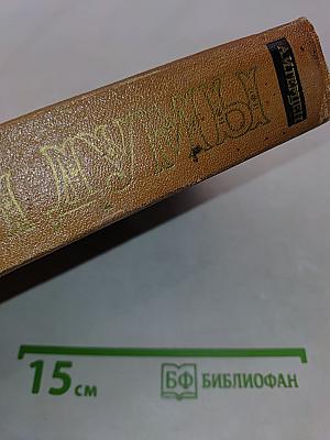 Былое и думы