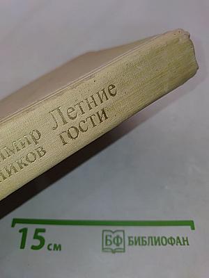 Летние гости