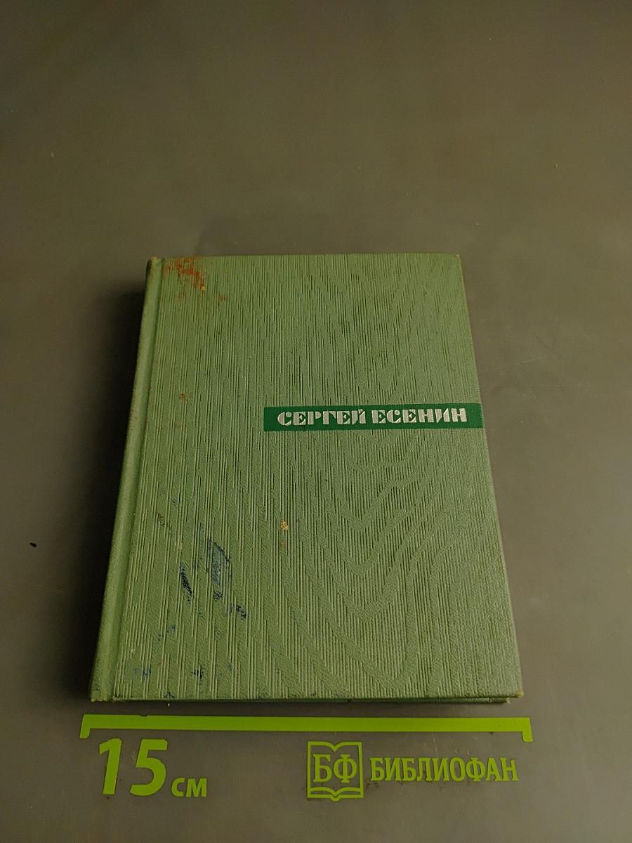 Собрание сочинений. Том пятый. Автобиографии. Письма
