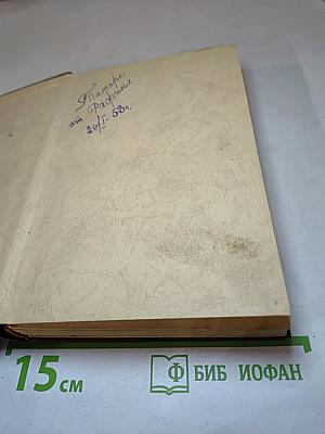 Иосиф Виссарионович Сталин. Краткая биография