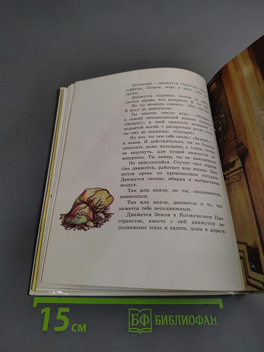 Мир, в котором ты живешь