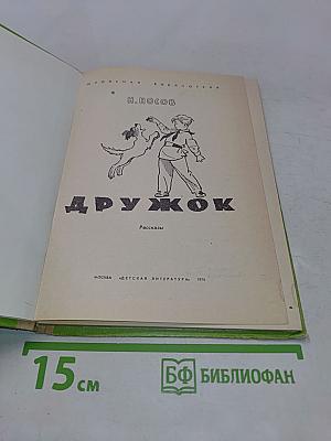 Дружок