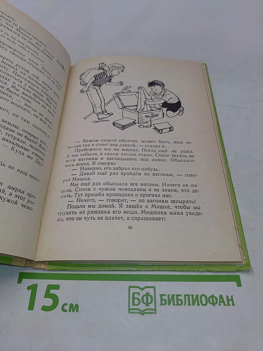 Дружок