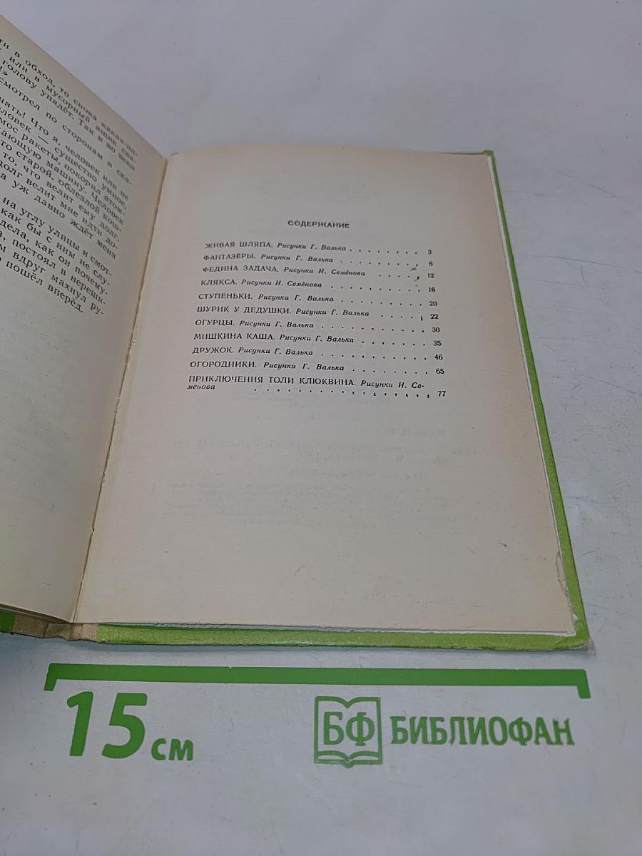 Дружок