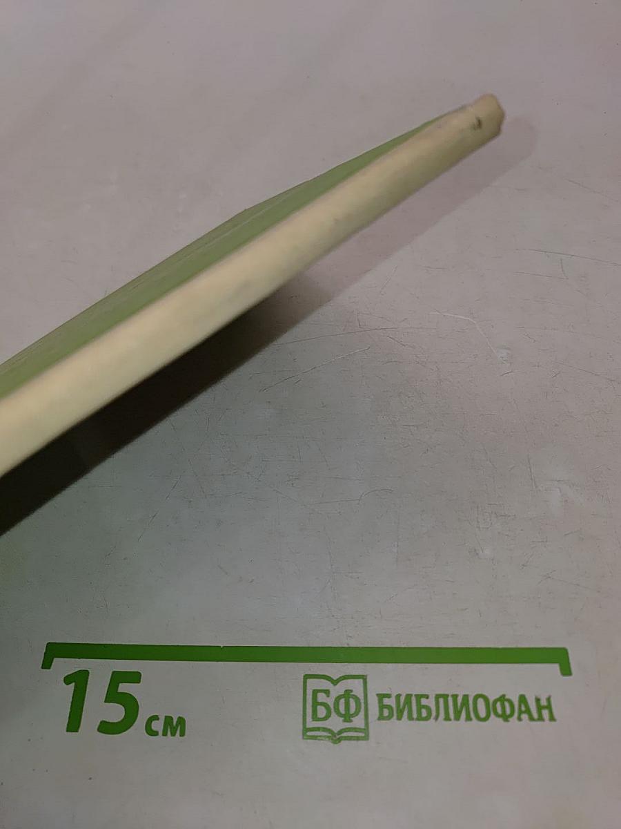 Дружок