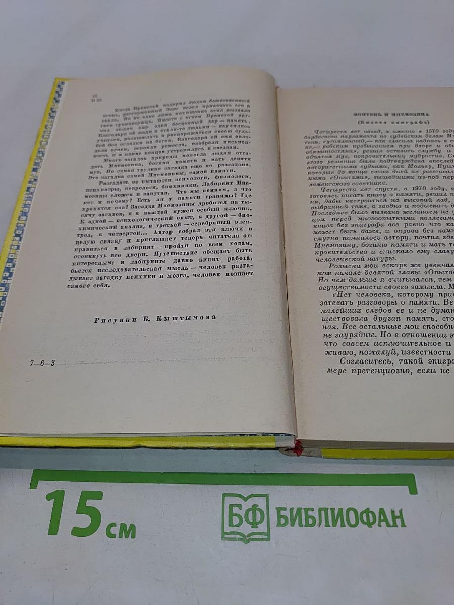 Лабиринт Мнемозины