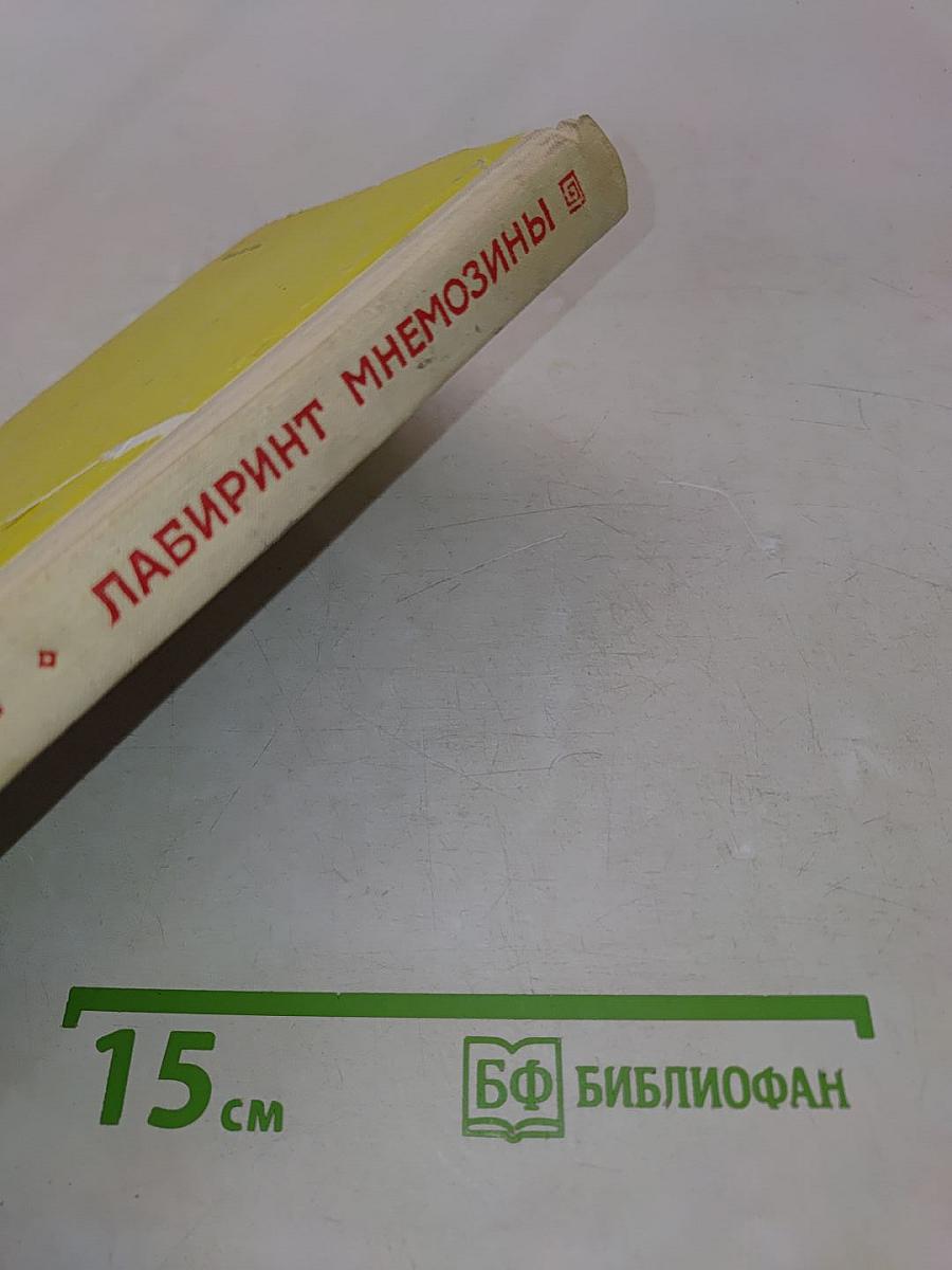 Лабиринт Мнемозины