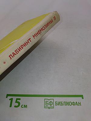 Лабиринт Мнемозины