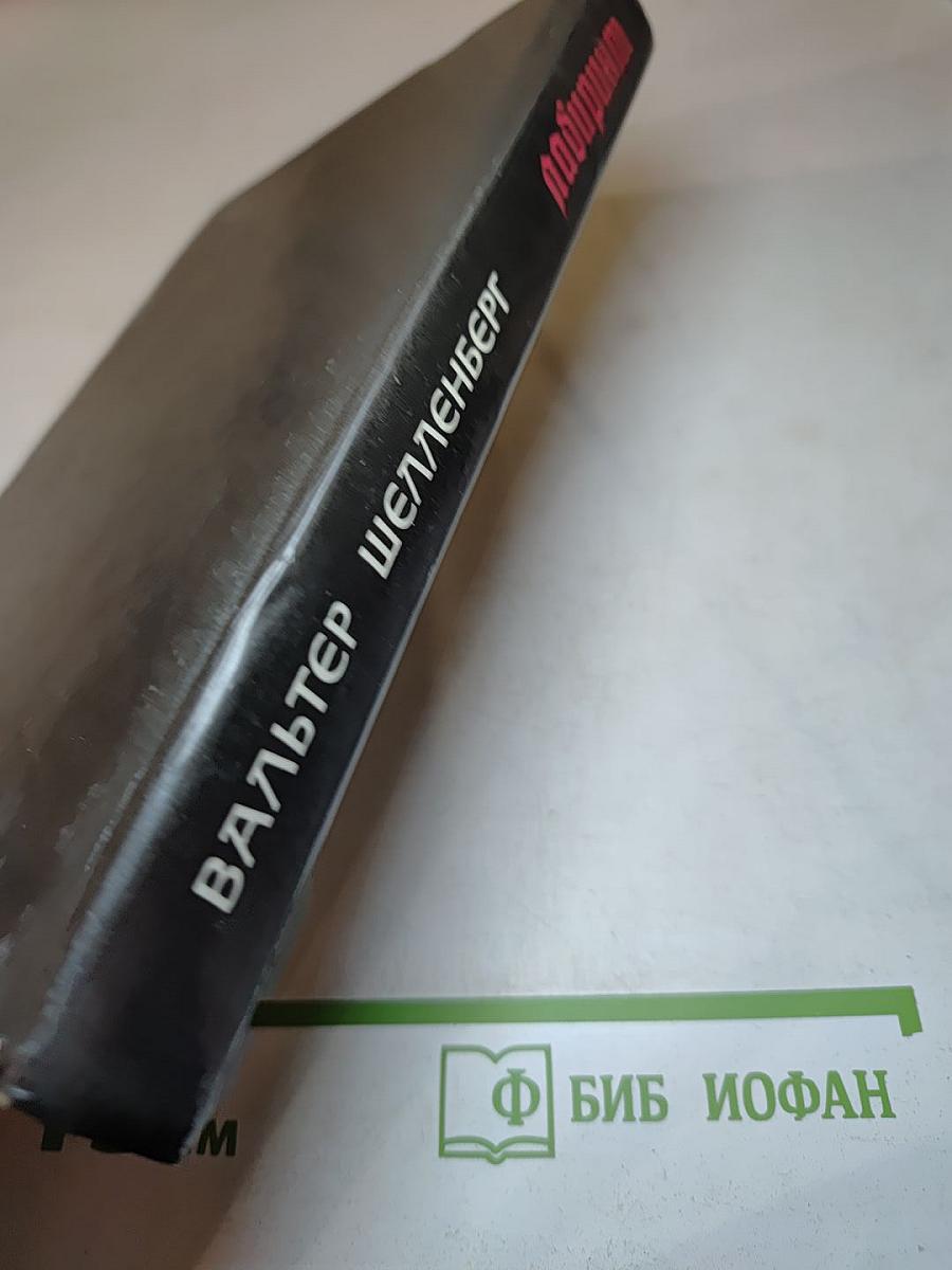 Лабиринт. Мемуары гитлеровского разведчика