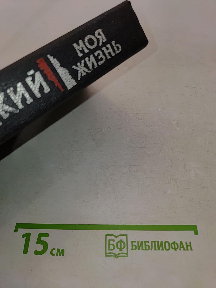 Моя жизнь