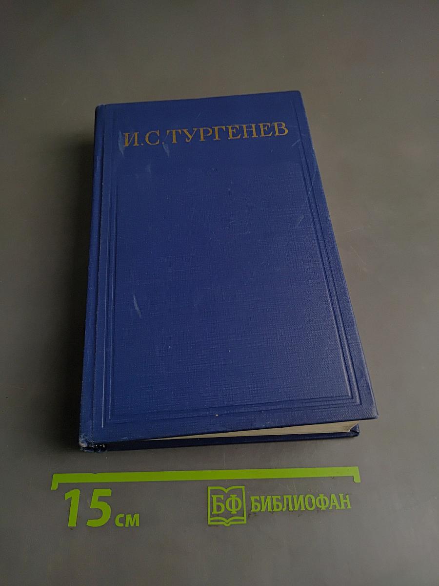 Сочинения. Том шестой. Повести и рассказы «Рудин», статьи и воспоминания 1853-1856