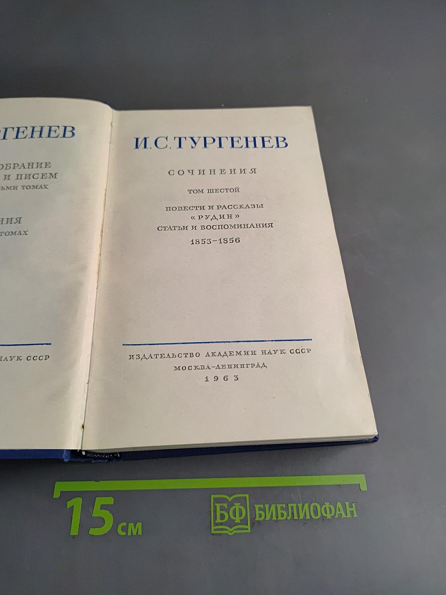 Сочинения. Том шестой. Повести и рассказы «Рудин», статьи и воспоминания 1853-1856