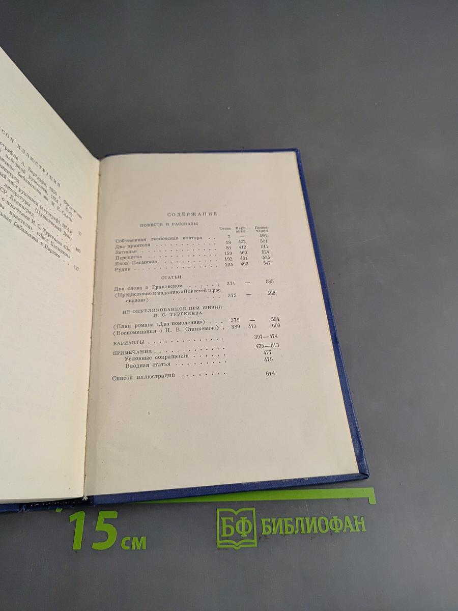 Сочинения. Том шестой. Повести и рассказы «Рудин», статьи и воспоминания 1853-1856