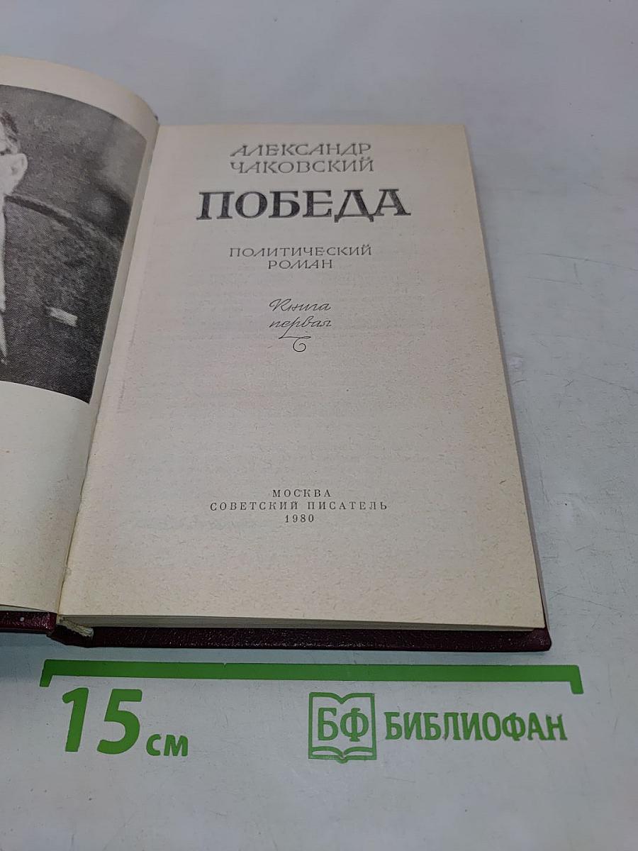 Победа. Политический роман. Книга первая