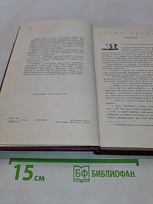 Победа. Политический роман. Книга первая