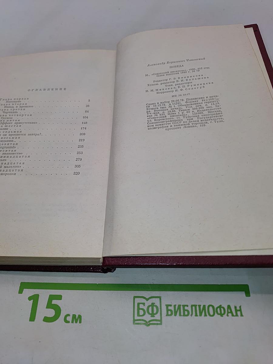 Победа. Политический роман. Книга первая