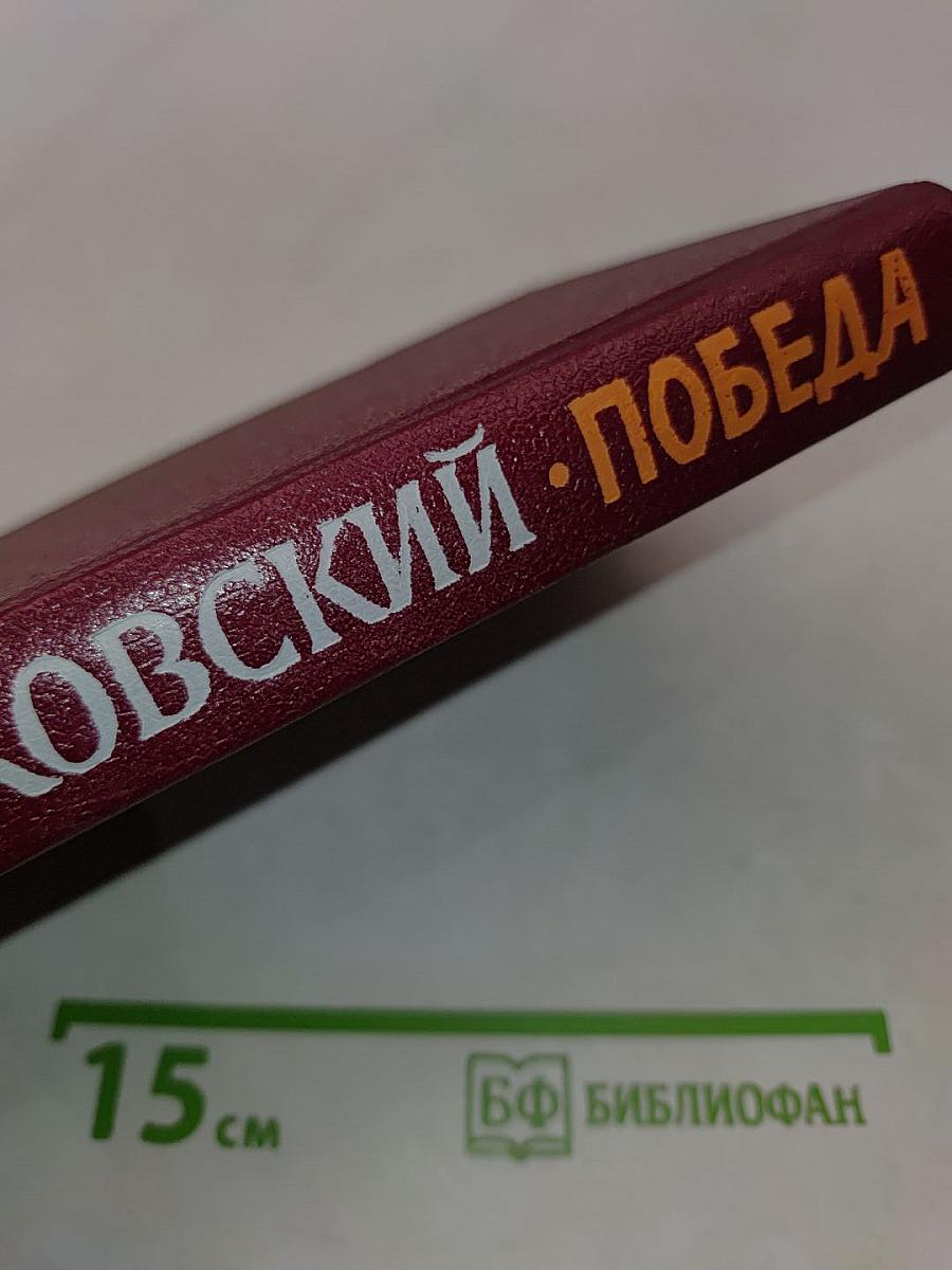 Победа. Политический роман. Книга первая