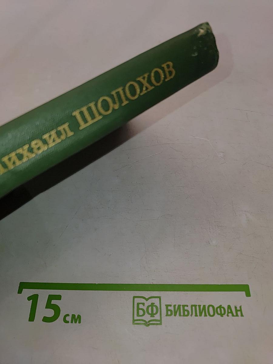 Тихий Дон. Том 2