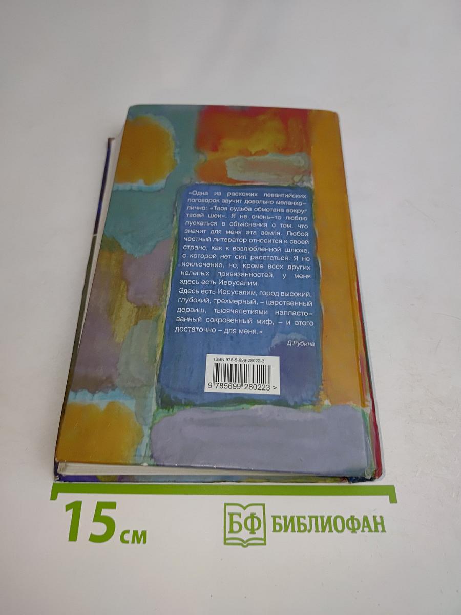 Вид из окна съемной квартиры