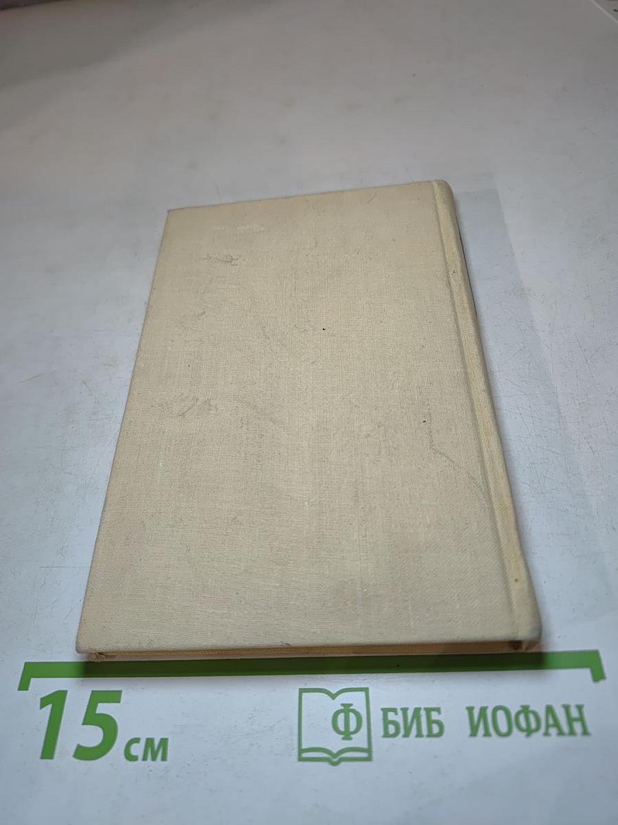 Имя мое - Человек. Книга новых стихов