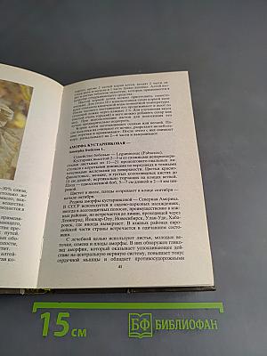 Аптека в лесу