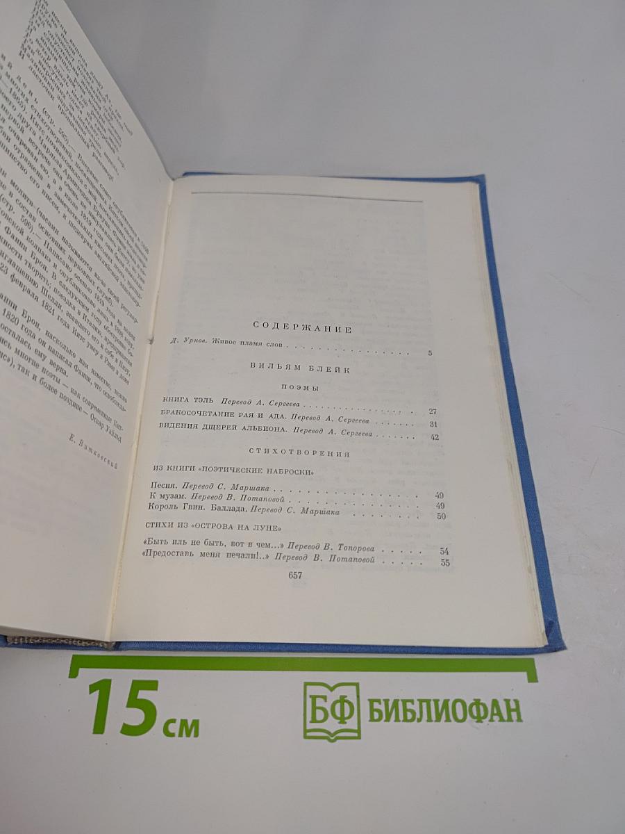 Поэзия английского романтизма
