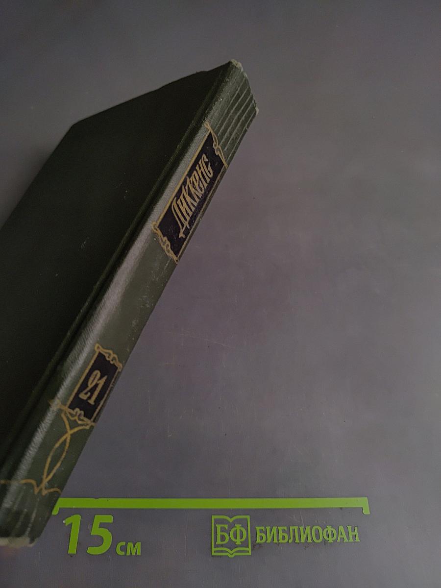 Собрание сочинений. Том двадцать первый. Крошка Доррит. Книга вторая