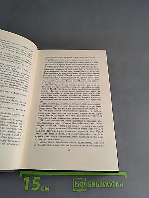 Собрание сочинений. Том шестнадцатый. Жизнь Дэвида Копперфильда, рассказанная им самим