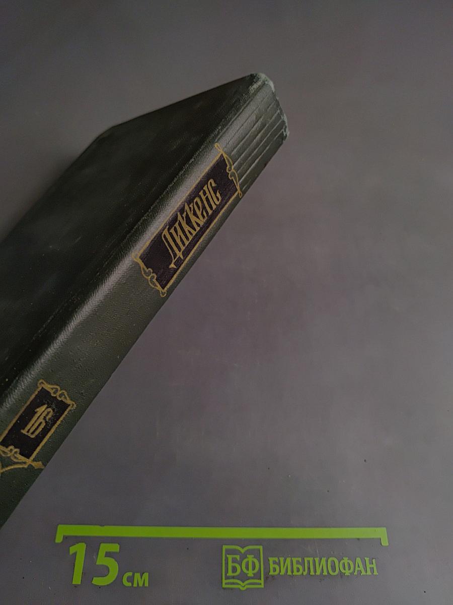 Собрание сочинений. Том шестнадцатый. Жизнь Дэвида Копперфильда, рассказанная им самим