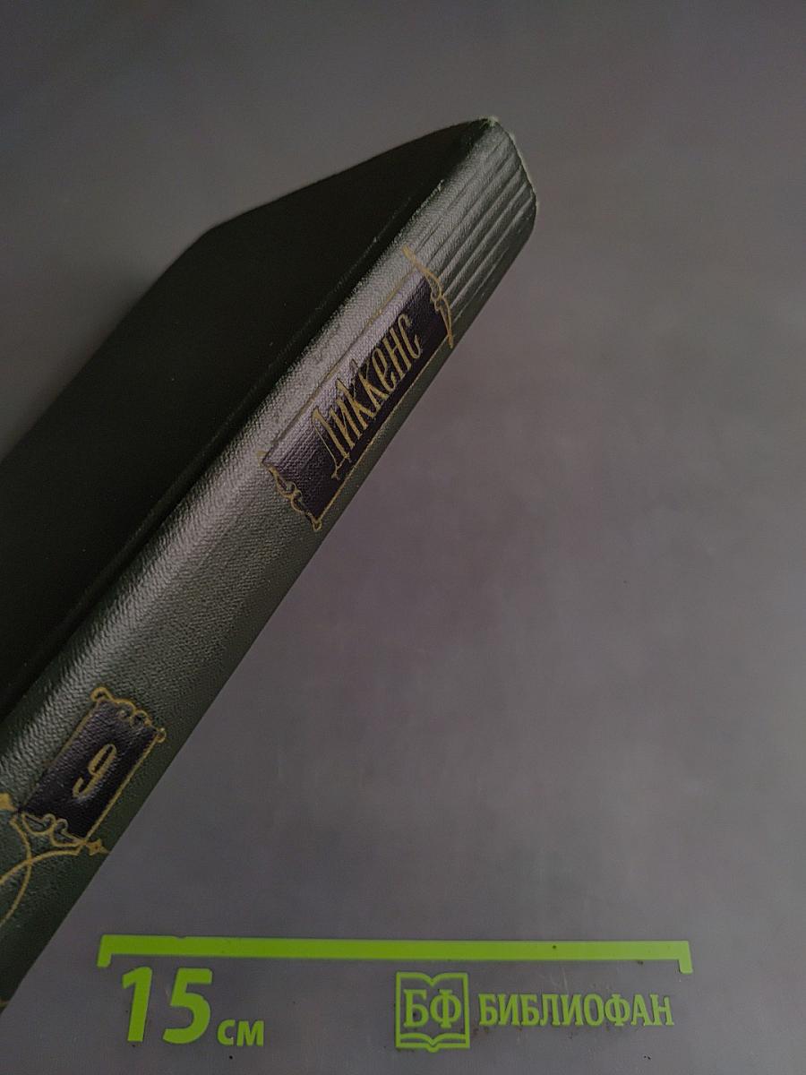 Собрание сочинений. Том девятый. Американские заметки. Картины Италии