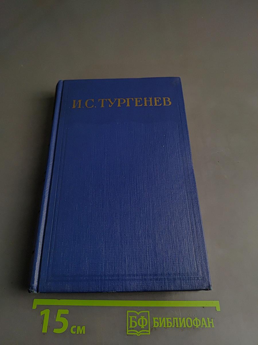 Сочинения. Том десятый. Повести и рассказы 1867-1870
