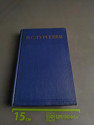 Сочинения. Том десятый. Повести и рассказы 1867-1870