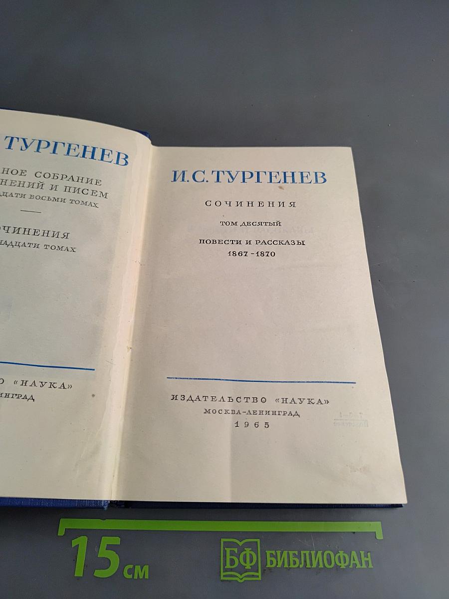 Сочинения. Том десятый. Повести и рассказы 1867-1870