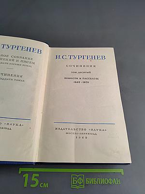 Сочинения. Том десятый. Повести и рассказы 1867-1870