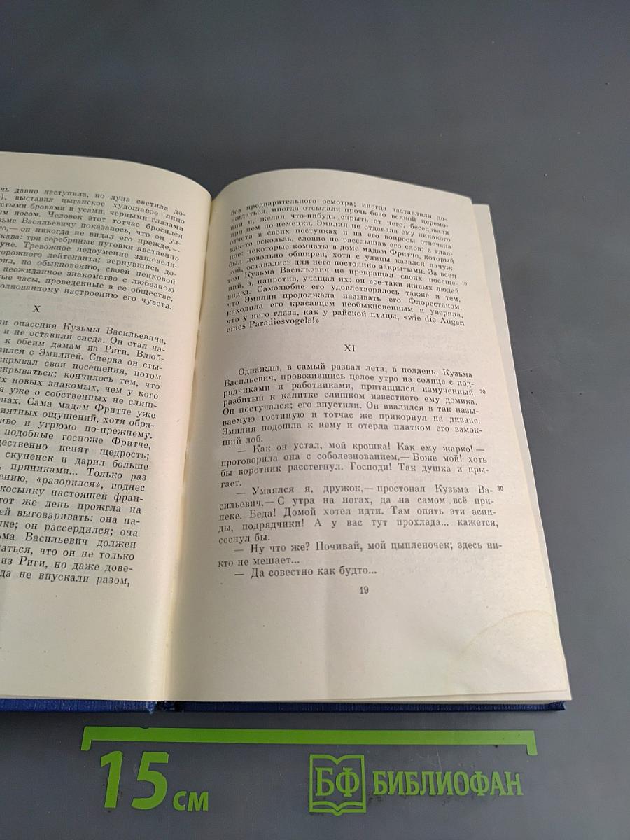 Сочинения. Том десятый. Повести и рассказы 1867-1870