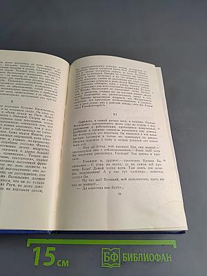 Сочинения. Том десятый. Повести и рассказы 1867-1870