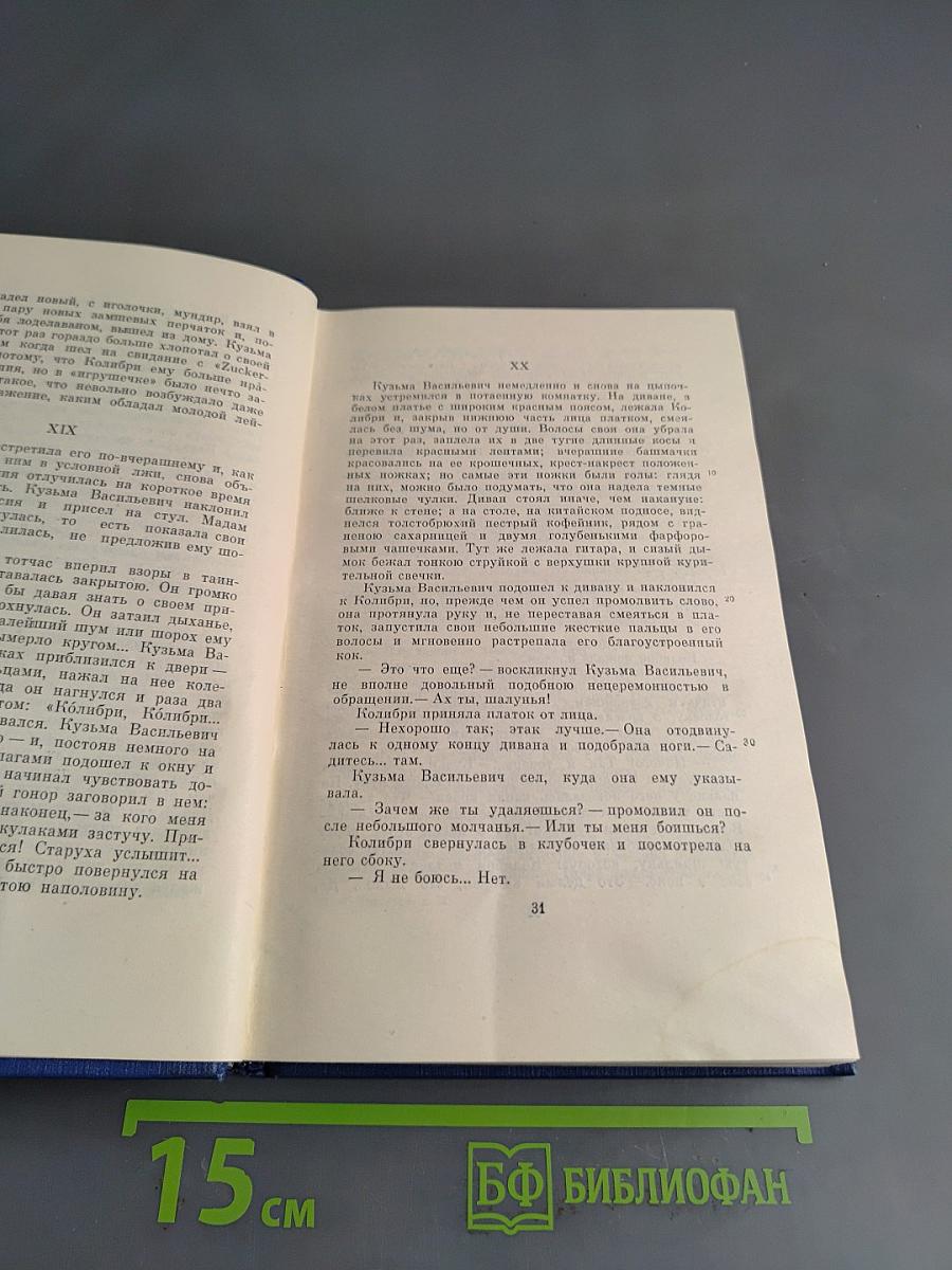 Сочинения. Том десятый. Повести и рассказы 1867-1870