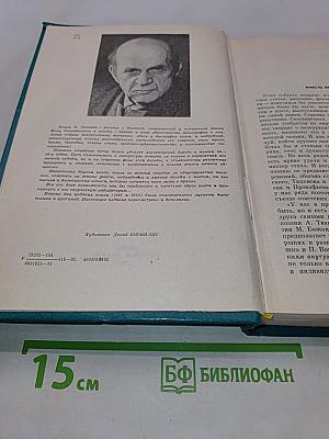 Жизнь в поэзии. Творчество И. Сельвинского
