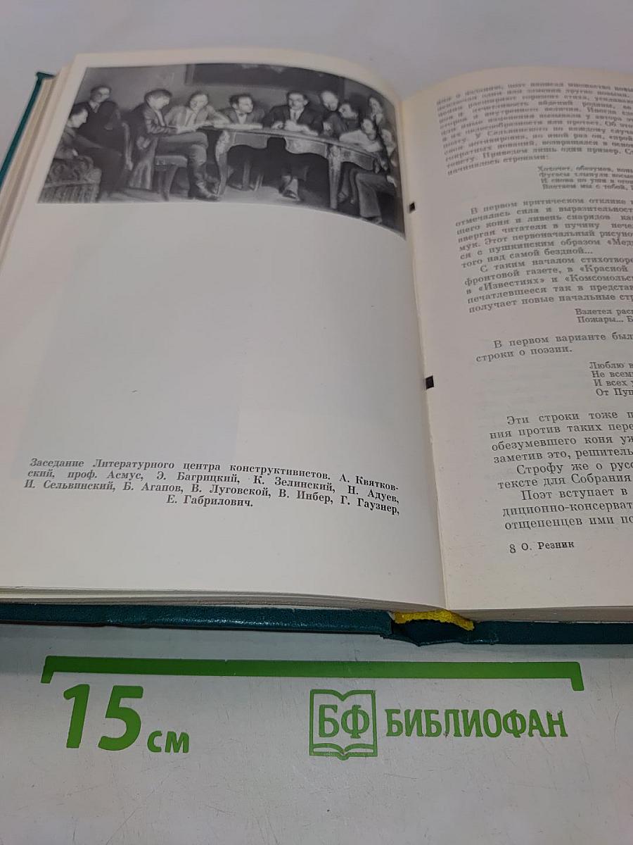 Жизнь в поэзии. Творчество И. Сельвинского