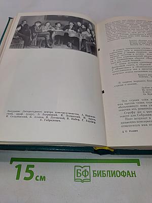 Жизнь в поэзии. Творчество И. Сельвинского