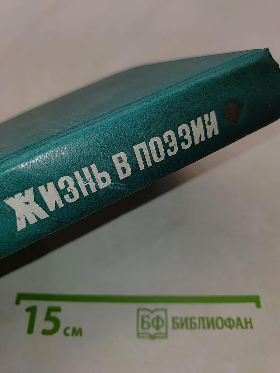 Жизнь в поэзии. Творчество И. Сельвинского