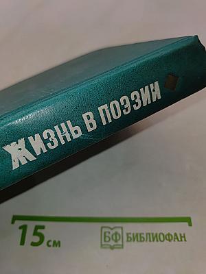 Жизнь в поэзии. Творчество И. Сельвинского