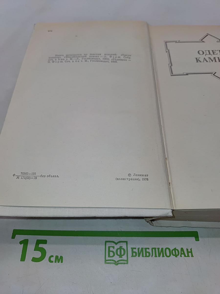 Одеты камнем. Радищев. Михайловский замок
