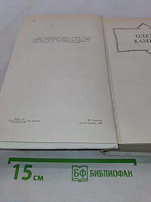Одеты камнем. Радищев. Михайловский замок